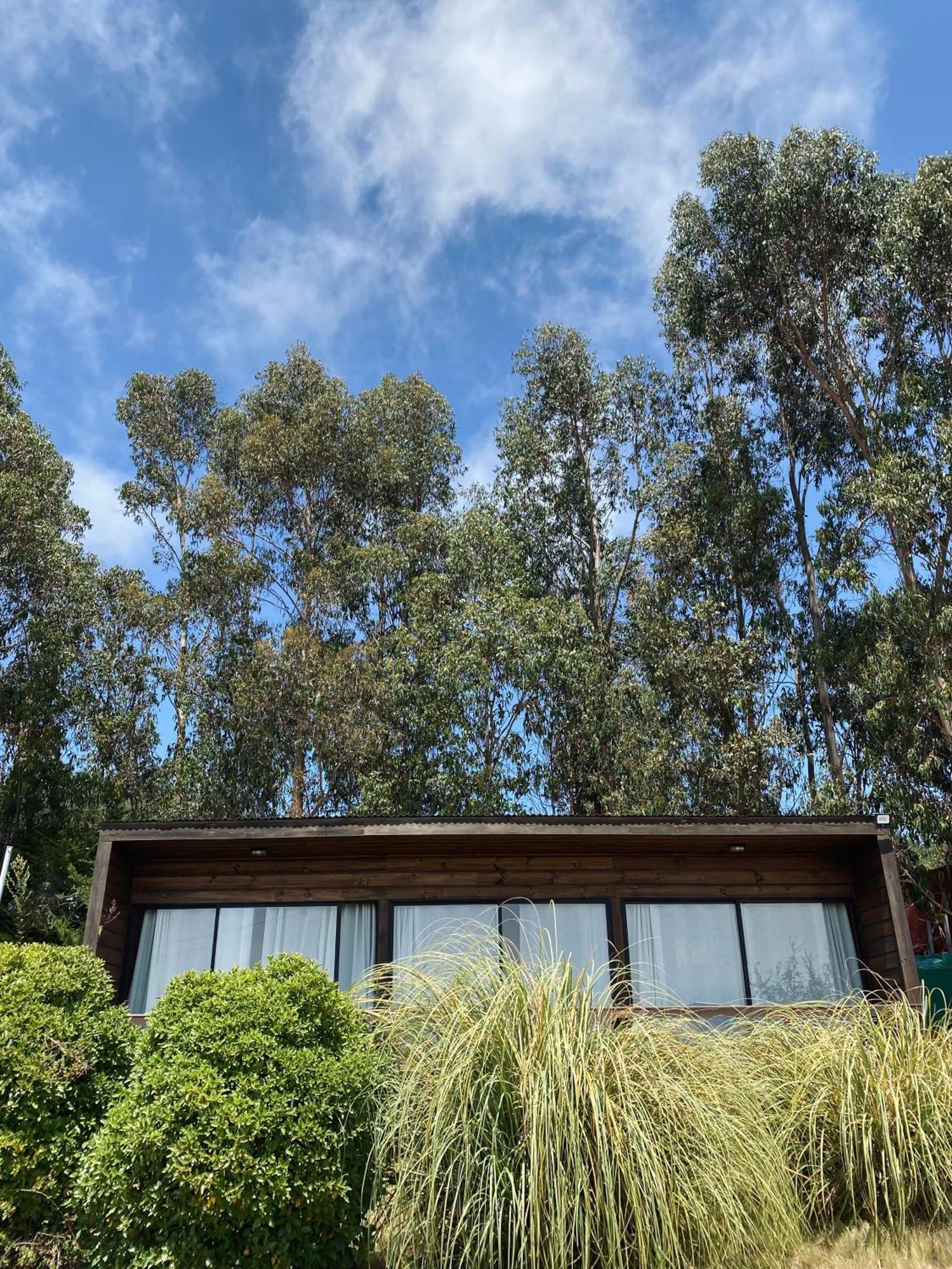 Lovel-van Campsite Curanipe